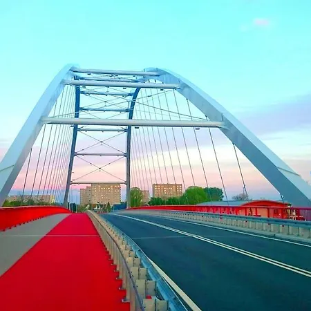 Robi 코워브제크