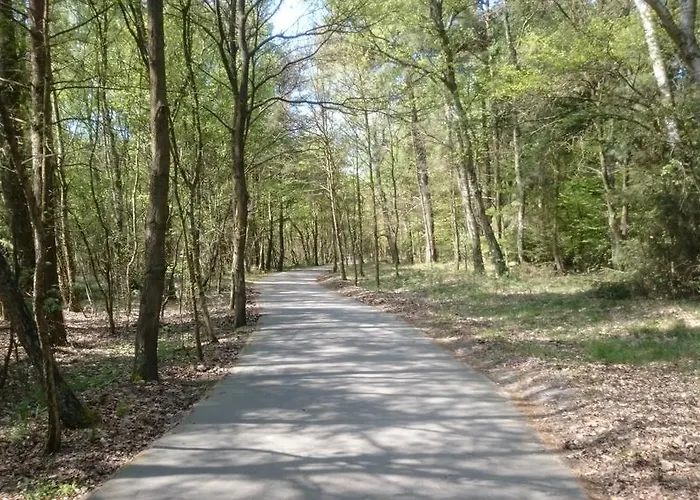 Robi Апартаменты